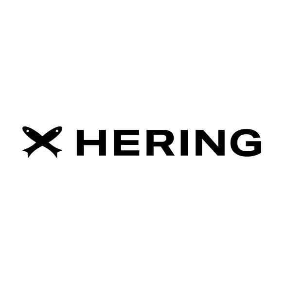 Logo da loja Hering Outlet